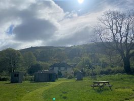 Sunny morning