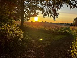 Sunset from the end of hall lane