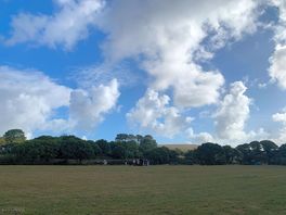 Peaceful camping at quarr!