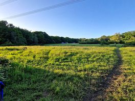 View across camping field from toilets