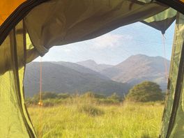 View out