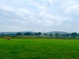 Enclosed dog exercise field where you can let your dog off lead. great views.