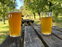 Dorset nectar cider farm