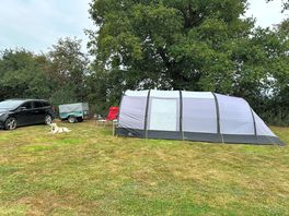 Our set up under a lovely oak tree