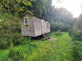 Peaceful, in the middle of nature