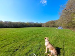 Campsite in wet april 2023.