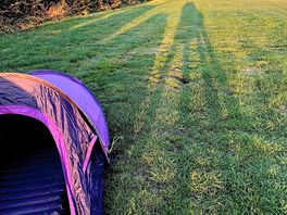 Long shadows towards the loo block.