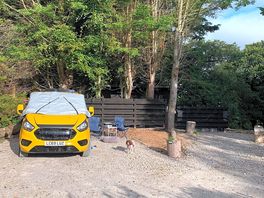 Home for the night