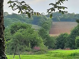 Newly sown farmers field, viiewed from the site