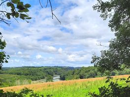 Veiw from a walk around trelissik gardens