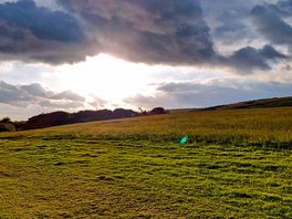 Evening sun