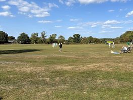 Cricket at the pub