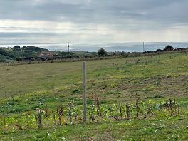 View from campsite