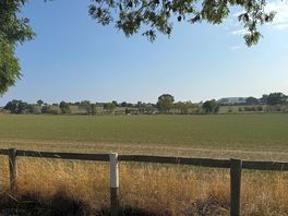 View from pitch 5