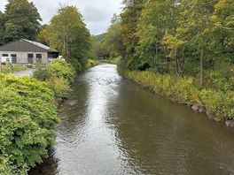 De omgeving