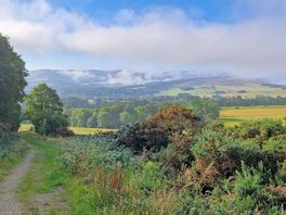 Walk up hill behind site