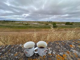 Morning coffee
