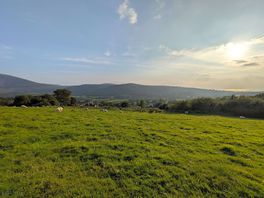 View from the on site walk