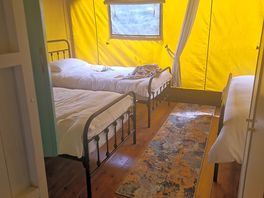 Single beds