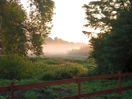 Morning view