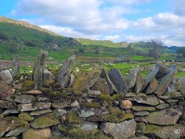 View from campervan