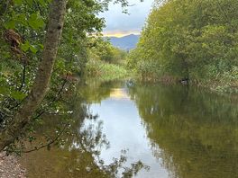 River crake