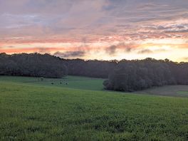 Evening sunset