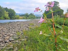 Offers dyke path