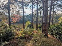 View from a path round the lake.