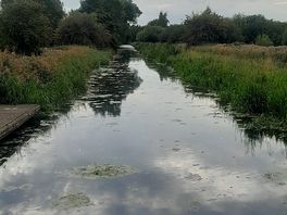 Canal walk