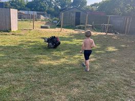 Trevor the turkey