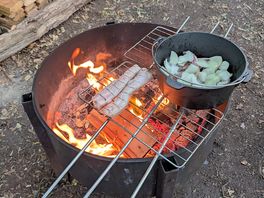 Pork strips