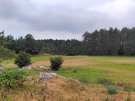 Camping landscape