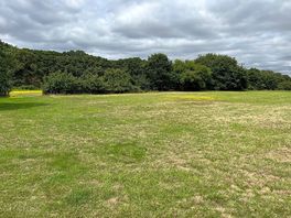 View back towards the entrance