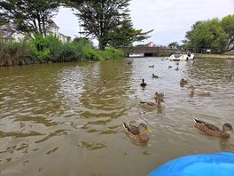 Boat ride on bude canal