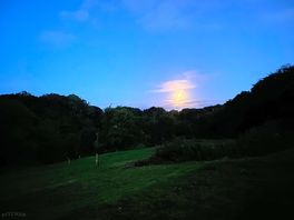 Views at nighttime