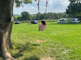 Swings