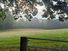 Field next to campsite