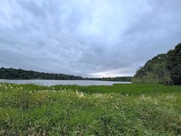 Colemere