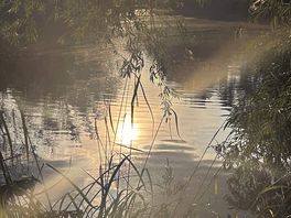 The lake