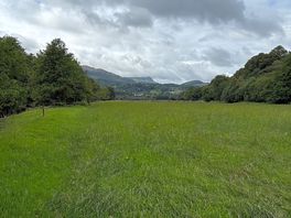 Walks near by