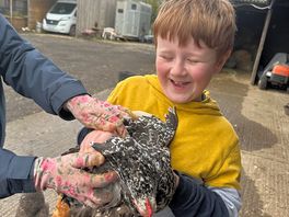 First time holding a chicken!