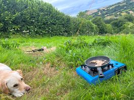 Beautiful views and our dog trying not to steal food from our camping stove