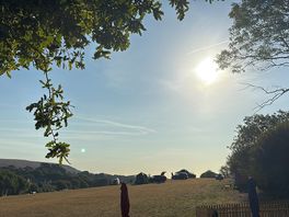 Early morning sunshine