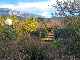 Pyrenees