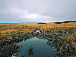 bannau brycheiniog national park, merthyr tydfil, wales, united kingdom