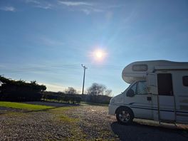 Relaxing on site in the sun with my dogs
