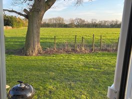 Lovely view