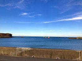 Eyemouth harbour and fishing boats