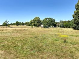 General view from tent